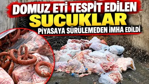 Sakarya’da domuz eti skandalında yeni gelişme! 2,6 ton sucuk imha edildi