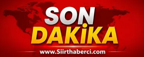 Siirt’te otomobil aydınlatma direğine çarptı