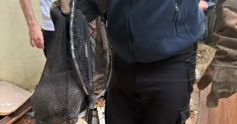 Yalova’da mahsur kalan kediler operasyonla kurtarıldı