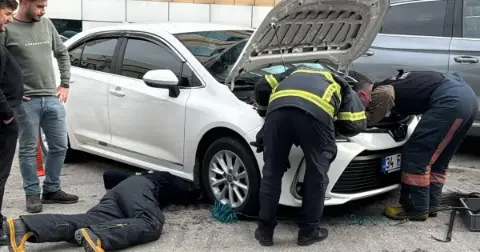 Yalova’da yavru kedi aracın kaputunda mahsur kaldı!