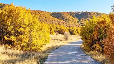 Çayıralan’da Sonbahar Renkleri Objektiflere Yansıdı