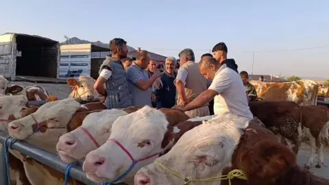 Yozgat Sorgun Hayvan Pazarı Yeniden Açılıyor! Tarih ve Saat Belli Oldu