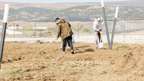 Çekerek’te Millet Bahçesi Yenileniyor! Başkan Üzeyir İnce Çalışmaları Duyurdu